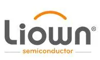 Liyang Semiconductor