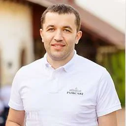 Nicolae Chiosa