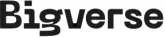Bigverse