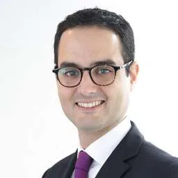 Hamza Fassi-Fehri