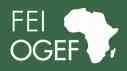 FEI-OGEF