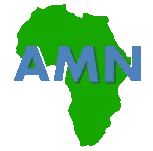 Africa Mobile Networks