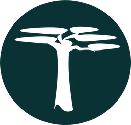 Mbuyu Capital Partners