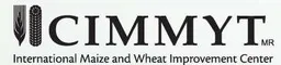 CIMMYT