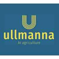 Ullmanna