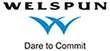 Welspun Energy