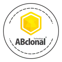 ABclonal
