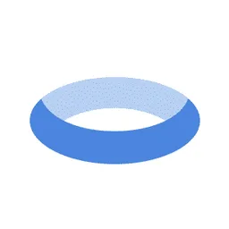 Torus Capital, VC Fund