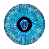NeurOptics