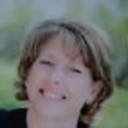 Diane M. Sahr