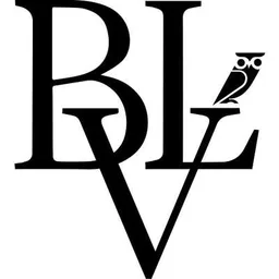 Bright Link Ventures