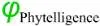 Phytelligence