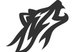 Vestin Wolf Capital Management