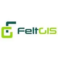 Feltgis