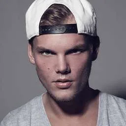 Tim Bergling, Record producer & DJ at AVICII