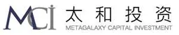 Metagalaxy Capital Investment, VC Fund