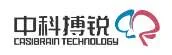 Casibrain Technology