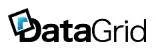 DataGrid Japan