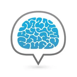 Visibrain