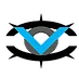 VideoOculograph
