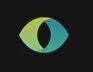 SmarterEye