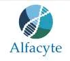 Alfacyte