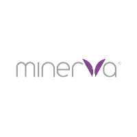 Minerva Surgical