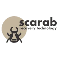 Scarab