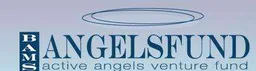 BAMS Angel Fund