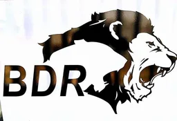 BDR Pharmaceuticals Internationals