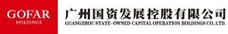 Gofar Holdings, VC Fund