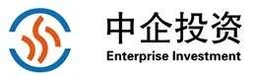 Zhongqi Touzi, VC Fund