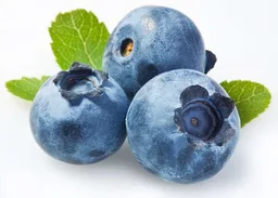 Blueberry Muffin, VC Fund