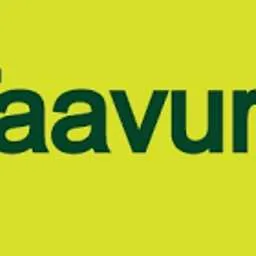 Taavura Holdings, Angel Investor