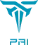 Paidian Technology