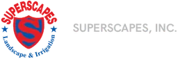 Superscapes