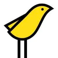 Yellow Canary