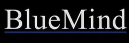 Blue Mind Capital