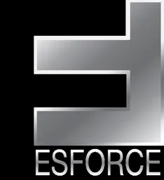 ESForce Holding