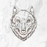 Lobos 1707