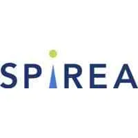 Spirea