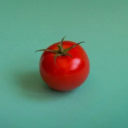 The Ketchup Project
