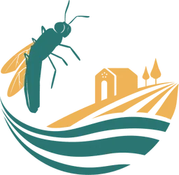Insect Feed Technologies