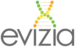Evizia