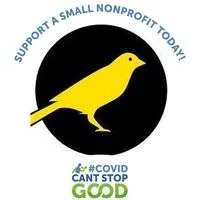 Canary Foundation