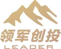 Leadervc.com