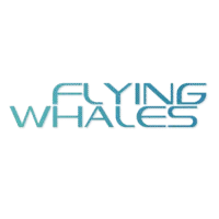 Flying Whales