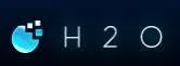 H2O