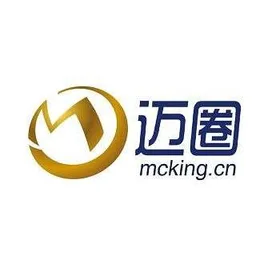 Mcking Information Technology