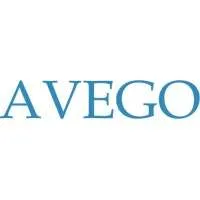 Avego Management